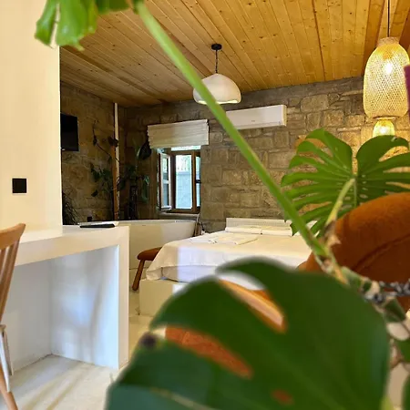 호텔 Paleos İmroz